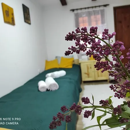 Appartamento Mitrovic *