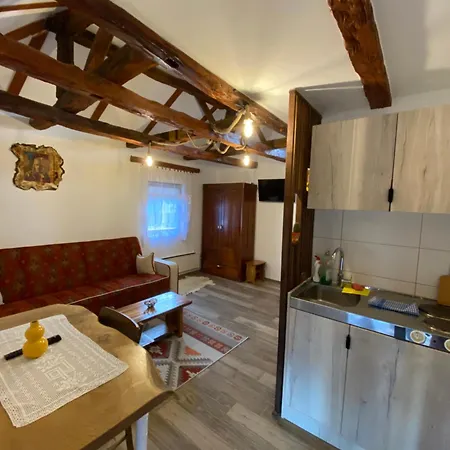 Apartment Mitrovic Boljevac