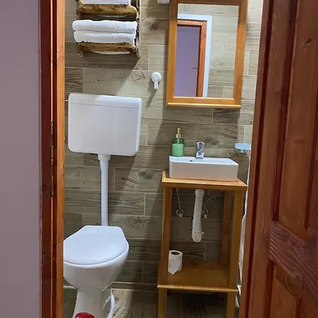 Apartment Mitrovic Boljevac