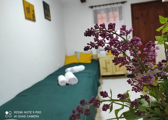 Апартаменты Mitrovic *