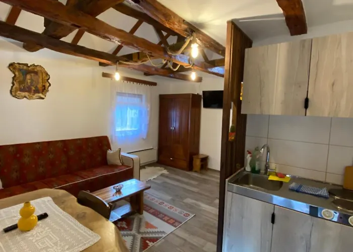 Апартаменты Mitrovic Boljevac